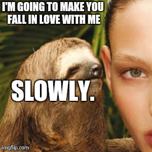 Funny Sloth Wisper Memes I'm going to make you fall in love with me slowly
