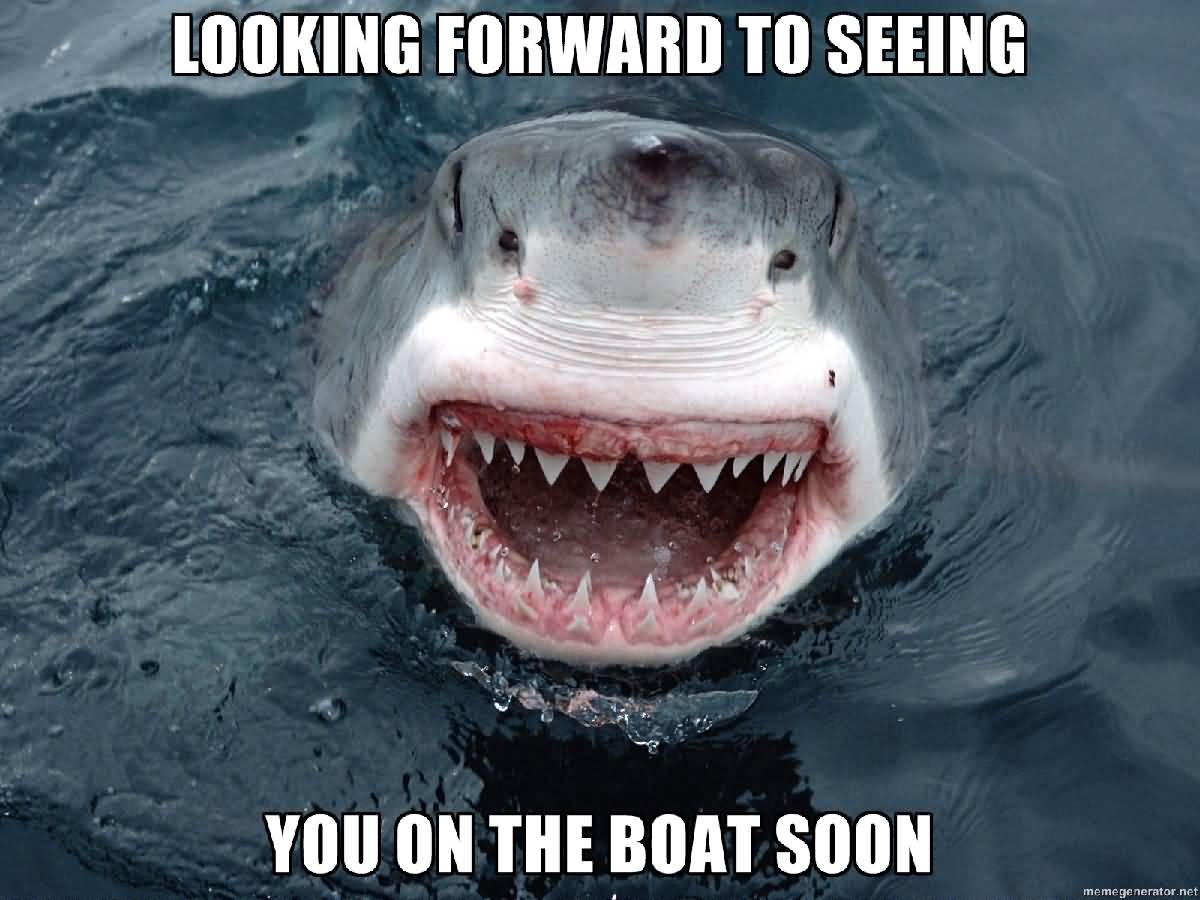 Funny Sloth Wisper Memes Looking forward to seeing you on the boat soon