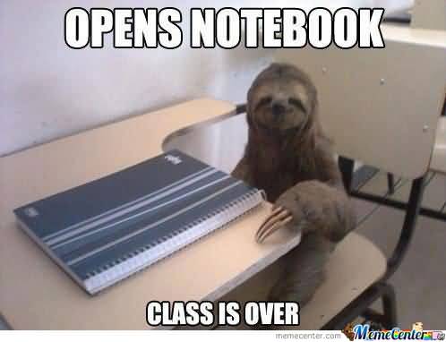 Funny Sloth Wisper Memes Opens notebook class is over