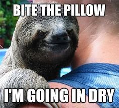 Funny Sloth Wisper Memes Sloth Meme Whisper Bite the pillow i'm going in dry