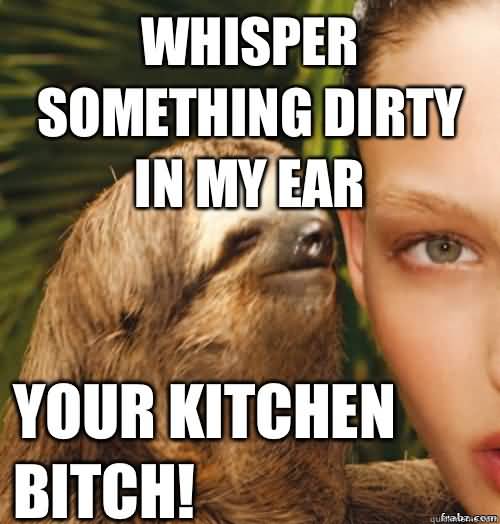 Funny Sloth Wisper Memes Whisper something Dirty in my Ear Your Kitchen Bitch
