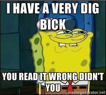 Funny Spongebob Memes I have a very dig bick you read it wrong didn't you Graphics