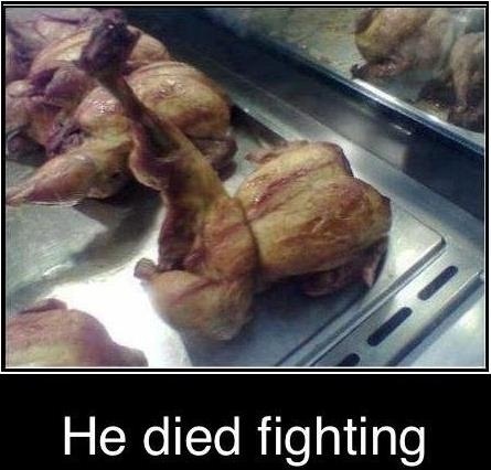 Funny WTF Memes He Died Fighting
