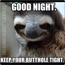 Good night keep your butthole tight Funny Sloth Rape Memes Pictures