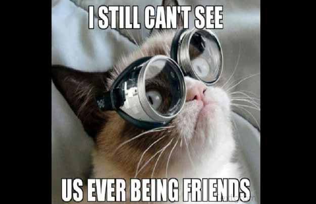 Grumpy Cat Meme I Still Cant See Us Ever Being Friends