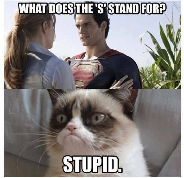 Grumpy Cat Meme What does the S stand for stupid