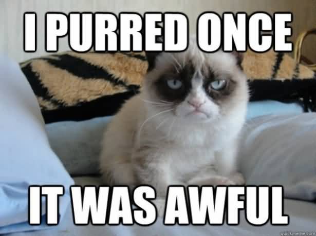 Grumpy Cat Memes I purred once it was awful Picture