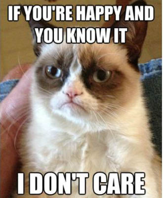 Grumpy Cat Memes If You Are Happy And You Know It I Dont Care Pic