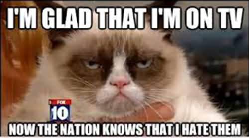 Grumpy Cat Memes Im glad that im on tv now the nation knows that i hate them Snap