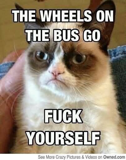 Grumpy Cat Memes The wheels on the bus go fuck yourself Graphic