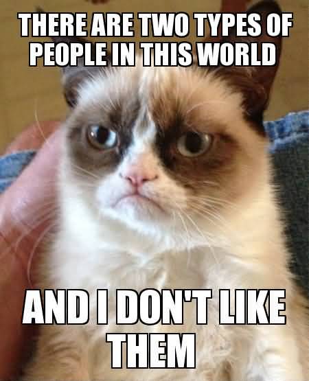 Grumpy Cat Memes There are two types of people in the world and i dont like them Image