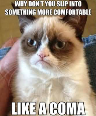 Grumpy Cat Memes Why dont you slip into something more comfortable like a coma Graphic