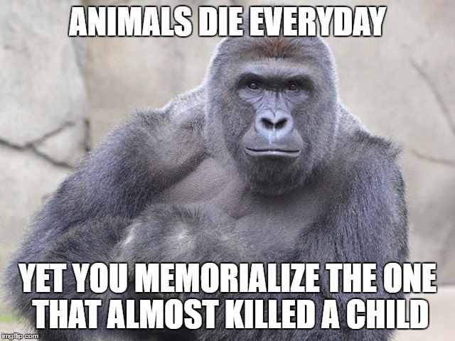 Harambe Meme Animals Die Everyday Yet You Memorialize The One That