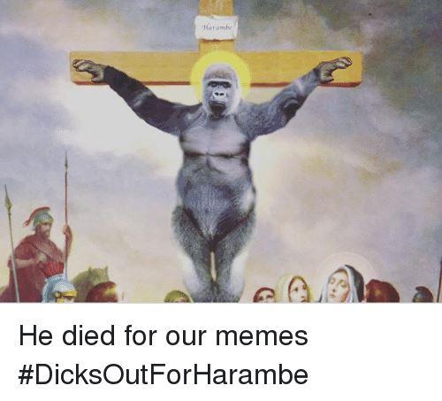 Harambe Meme He Died For Our Memes