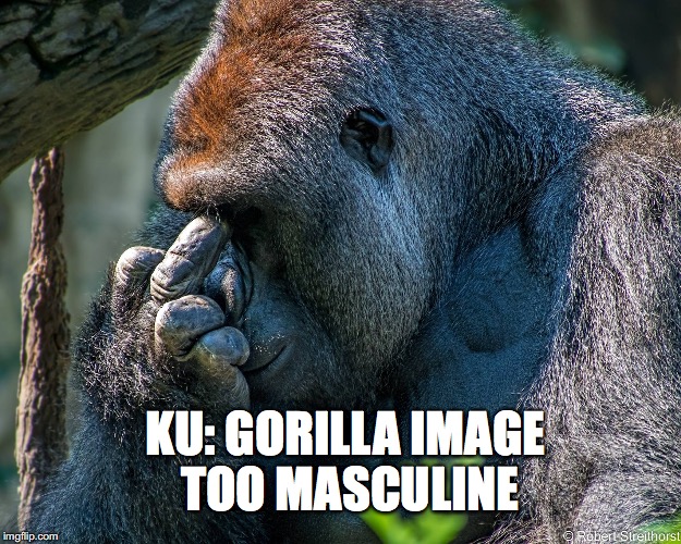 Harambe Meme Ku Gorilla Image Too Masculine