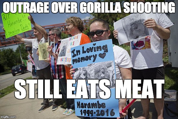 Harambe Meme Outrage Over Gorilla Shooting Still Eats Meat