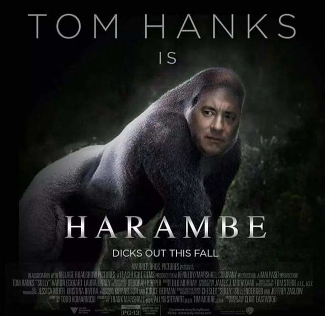 Harambe Meme Tom Hanks Is Harambe Dicks Out This Fall