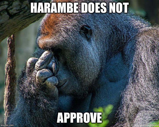 Harambe Memes Does Not Approve