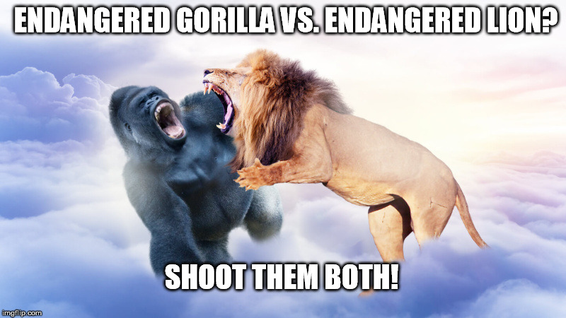 Harambe Memes Endangered Gorilla Vs. Endangered Lion Shoot Them Both