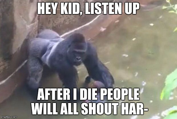 Harambe Memes Hey Kid, Listen Up After I Die People Will All Shout Har