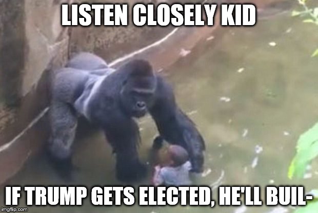 Harambe Memes Listen Closely Kid If Trump Gets Elected, He'll Buil
