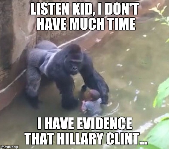 Harambe Memes Listen Kid, I Don't Have Much Time I Have Evidence That Hillary Clint..