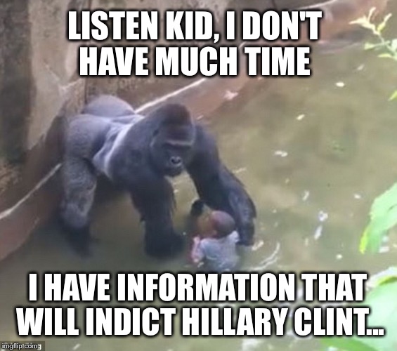 Harambe Memes Listen Kid, I Don't Have Much Time I Have Information That