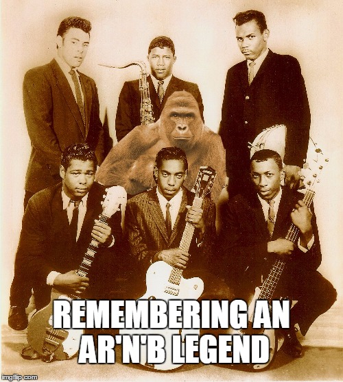 Harambe Memes Remember An AR'N'B Legend