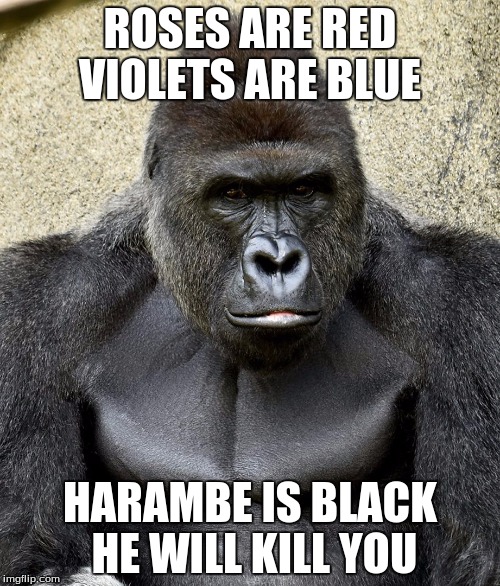 Harambe Memes Roses Are Red Violets Are Blue Harambe Is Black