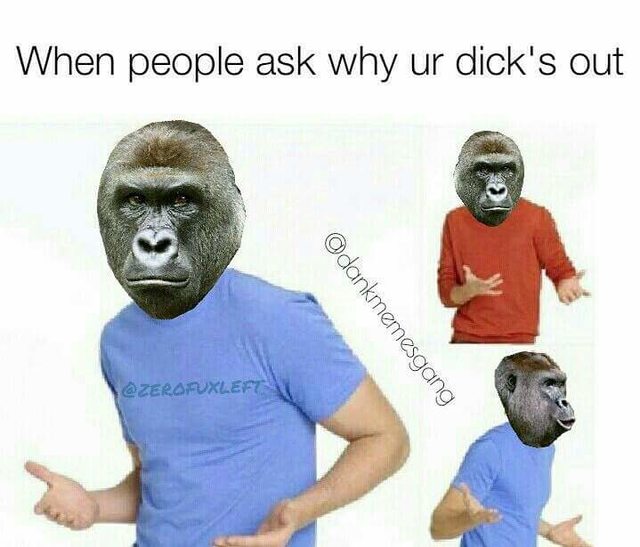 Harambe Memes When People Ask Why Ur Dick's Out