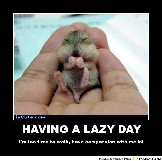 Having A Lazy Day Im Too Tired To Walk Have Compassion With Me Lol Funny Lazy Memes