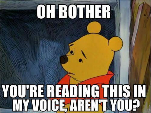 Hilarious WTF Meme Oh Bother You Are Reading This In My Voice Are Not You
