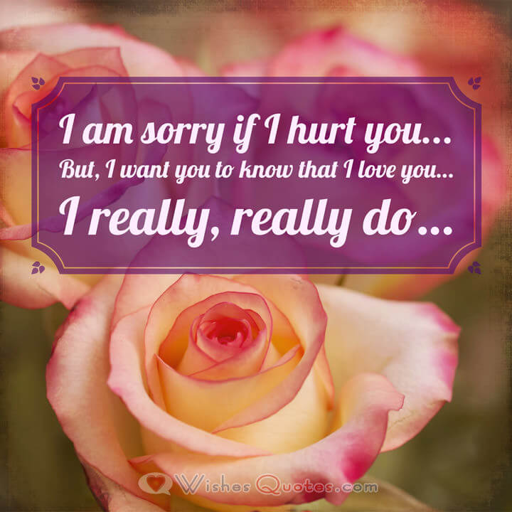 Husband Hurts My Feelings Quotes I Am Sorry If I