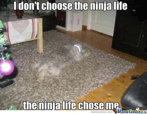 I Dont Choose The Ninja Life The Ninja Life Choose Me Funny Ninja Memes