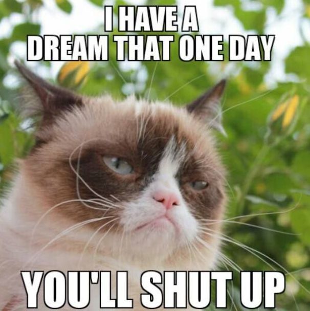 I Have Dream That One Day You Will Shut Up Grumpy Cat Memes Photograph
