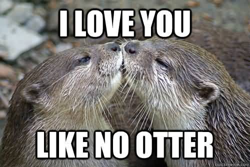 I Love You Memes I love you like no otter Pictures