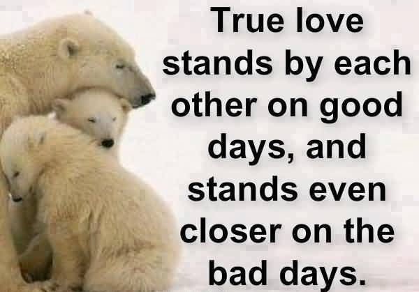 I Love You Memes True love stands by each other on good days Graphics