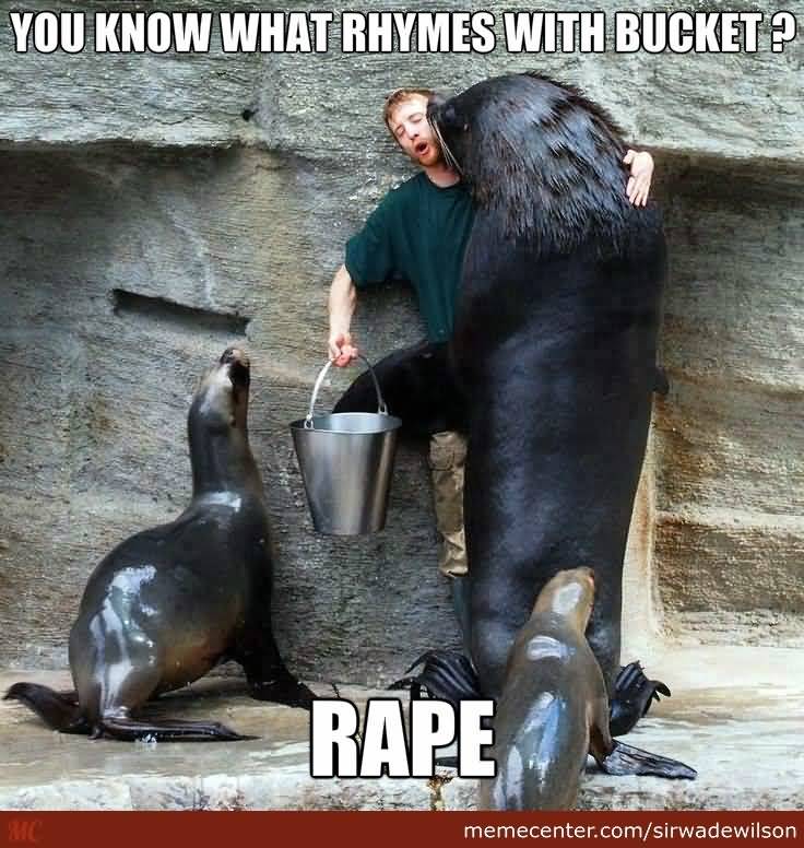 I Love You Memes You know what rhymes with bucket rape Pictures