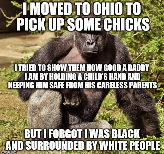 I Moved To Ohio To Pick Up Some Chicks I Tried To Show Them Harambe Meme