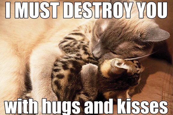 I Must Destroy You With Hugs And Kisses Funny Meme