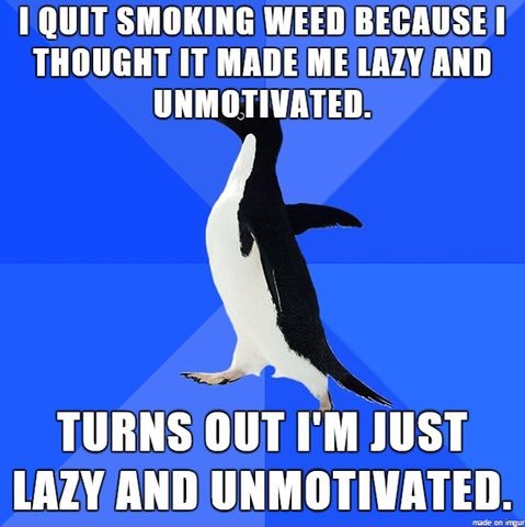 I Quit Smoking Weed Because I Thought It Made Me Lazy Funny Lazy Memes