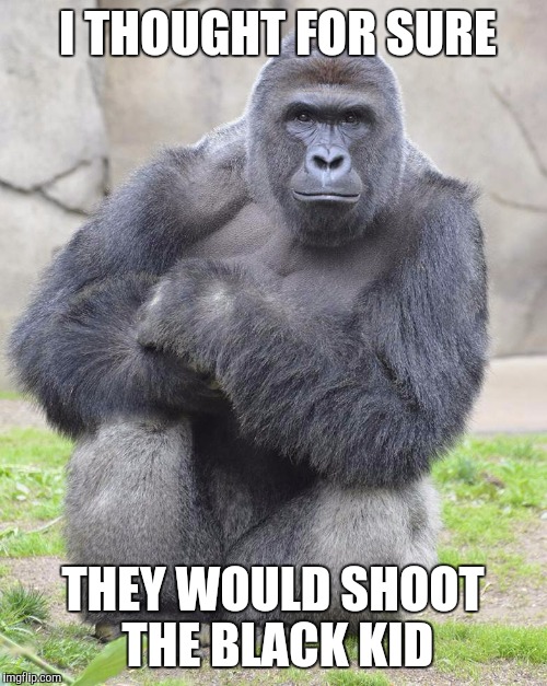 I Thought For Sure They Would Shoot The Black Kid Harambe Meme