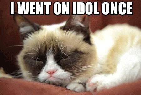 I Went On Idol Once Grumpy Cat Meme