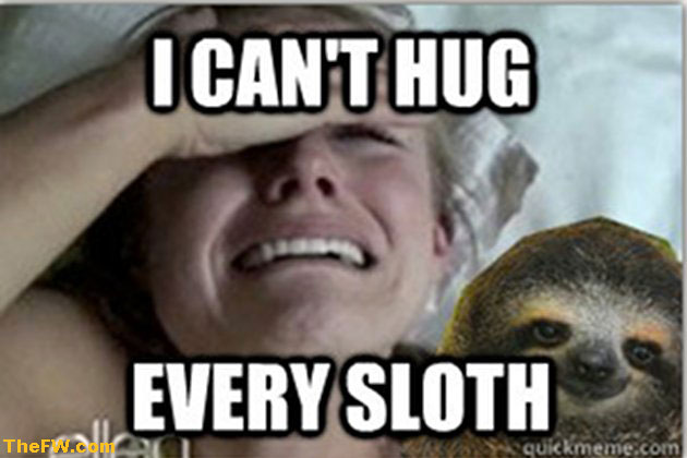 I can't hug every sloth Funny Sloth Memes