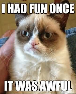 I had fun once it was awful Grumpy Cat Memes Wallpaper