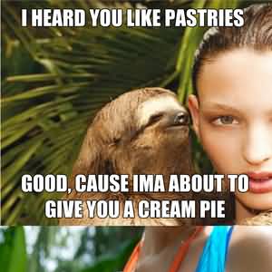 I heard you like pastries good cause ima about to give you a Funny Sloth Wisper Memes