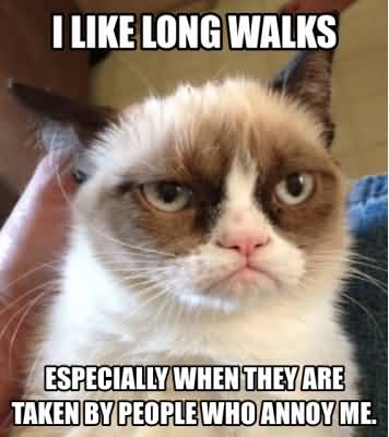 I like long walks especially when they are taken by people who annoy me Grumpy Cat Memes Pic