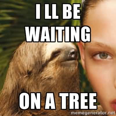 I ll be waiting on a tree Funny Sloth Wisper Memes