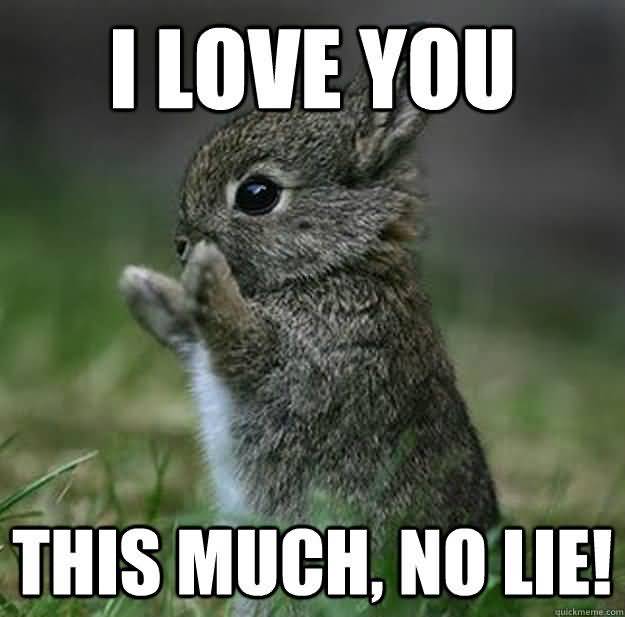 I love you this much no lie! I Love You Memes Images