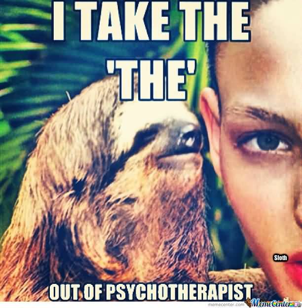I take the out of psychotherapist Funny Sloth Wisper Memes